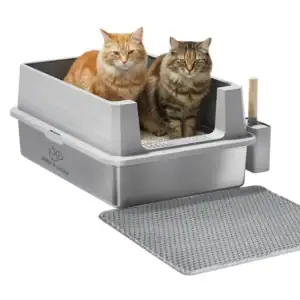 jake & jacky listing images main 2