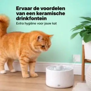 jake & jacky listing images 01