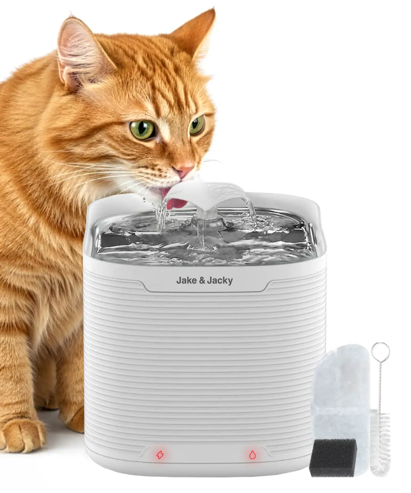 jake & jacky listing images main 06