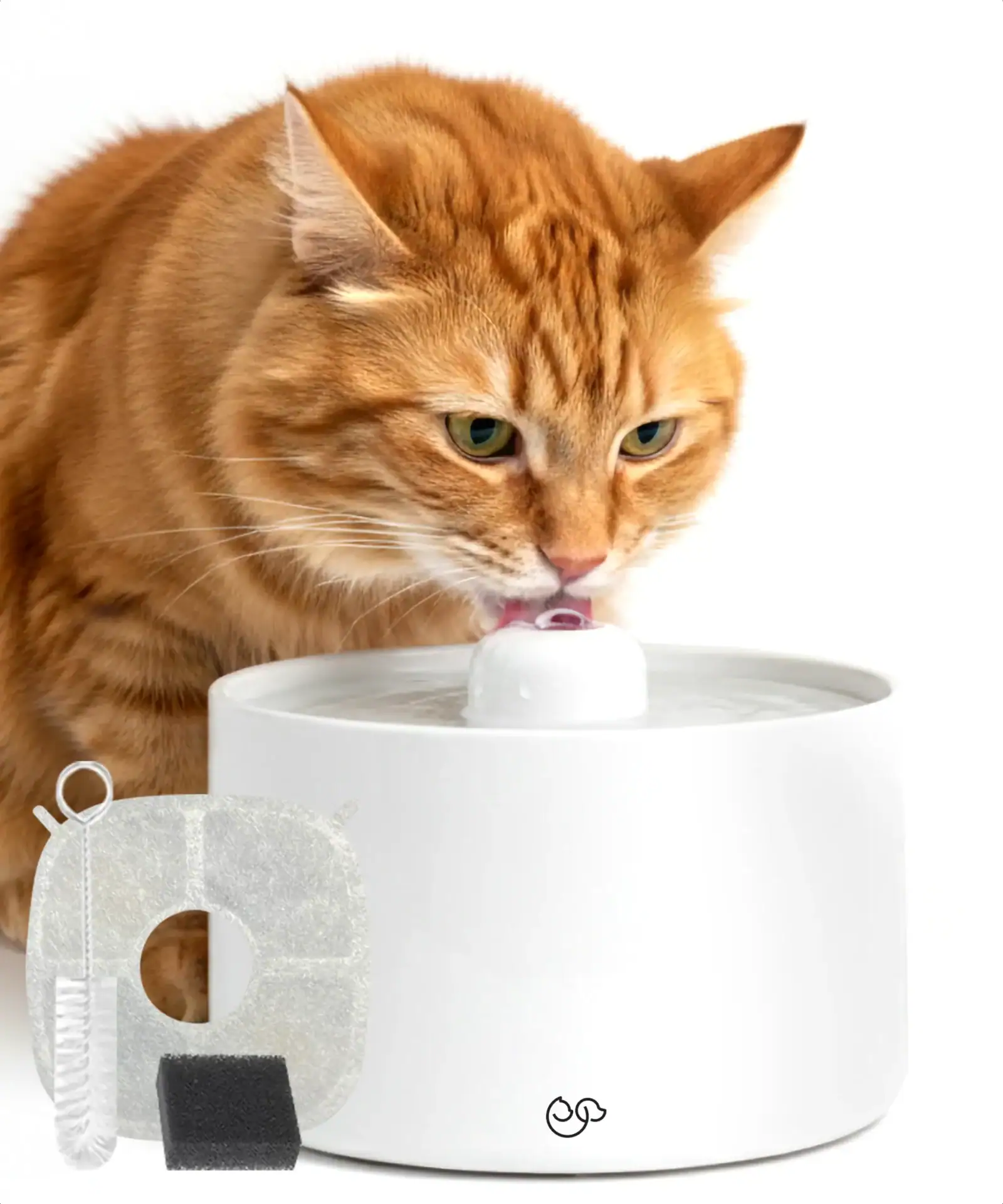 jake & jacky listing images main 5