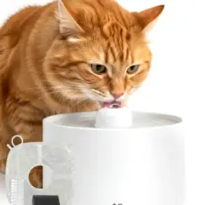 jake & jacky listing images main 5