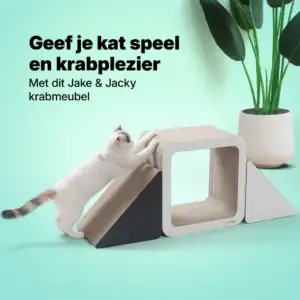 jake & jacky krabkarton listing images 1