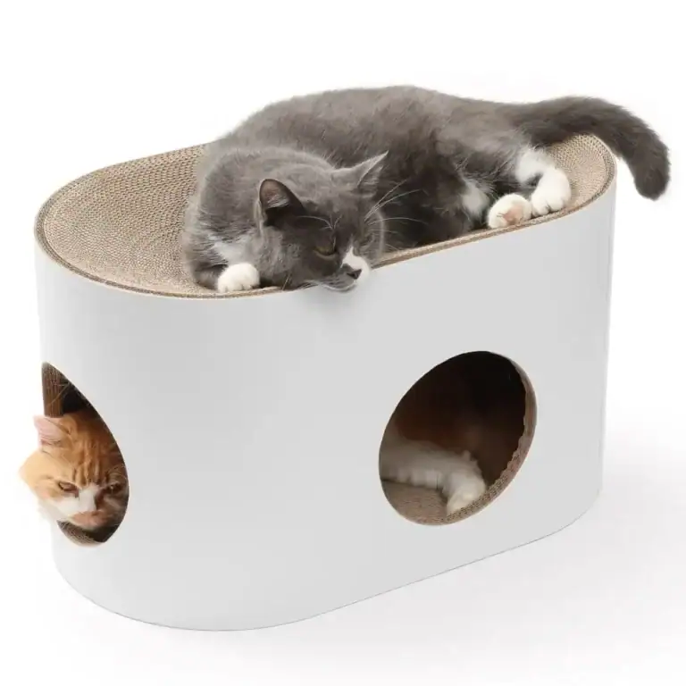 jake jacky krabkarton listing images main 01 950x950