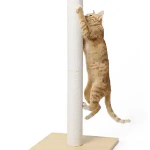 jake & jacky krabpaal 80cm listing images main 1