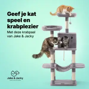 jake & jacky krabpaal listing images 1