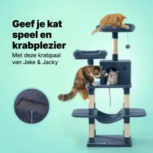 jake & jacky krabpaal listing images 1b