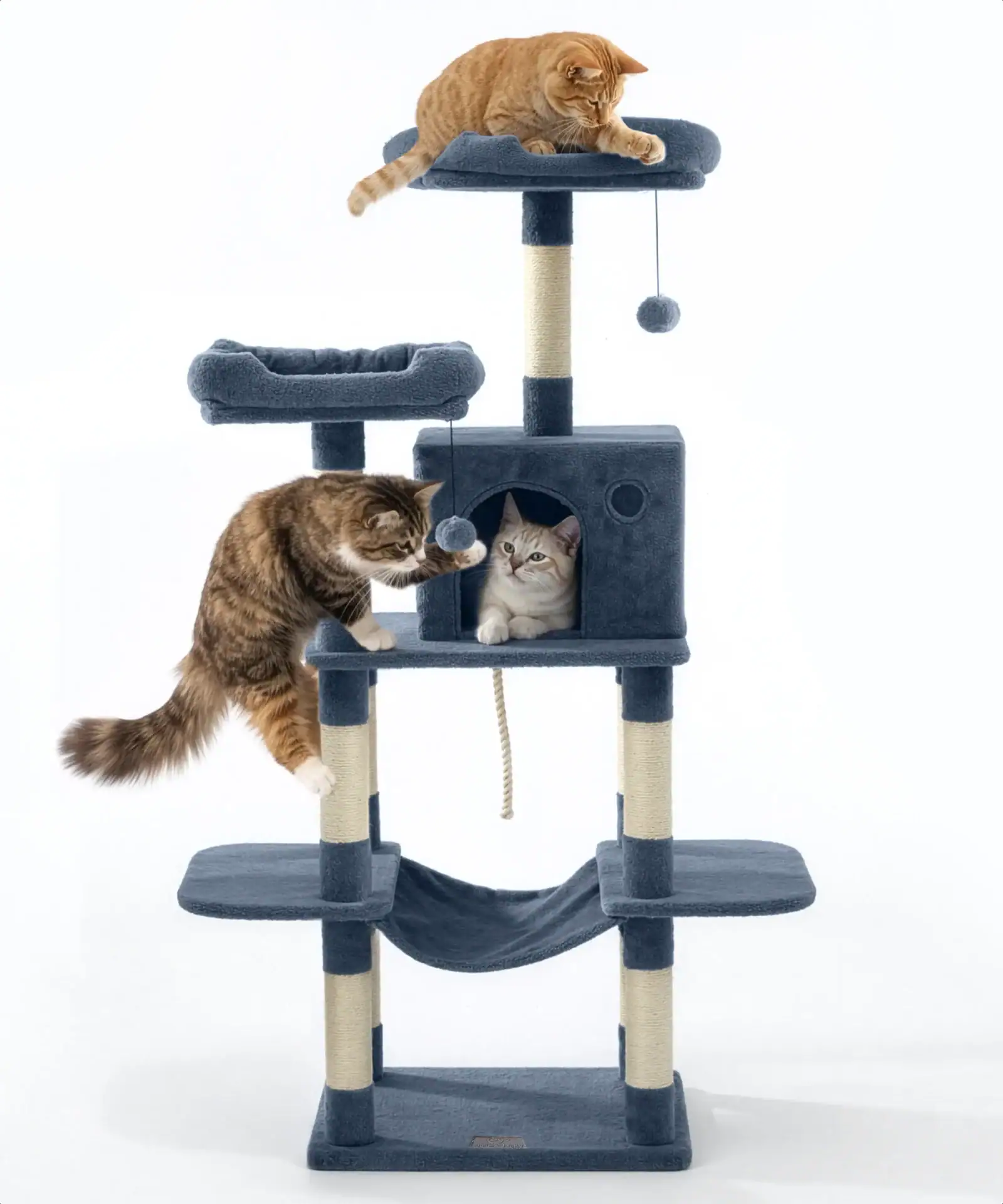 jake & jacky krabpaal listing images main 1