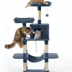 jake & jacky krabpaal listing images main 1