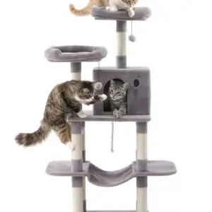 jake & jacky krabpaal listing images main 1