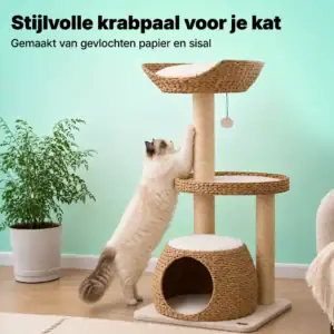 naturel krabpaal met gevlochten kattenhuis
